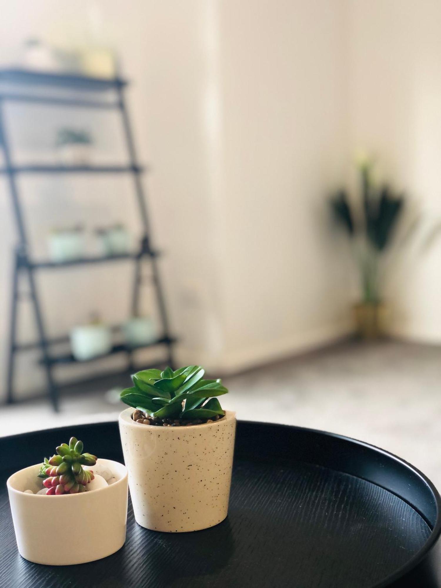 크라이스트처치 Arena,Railway Station Townhouse With Free Car Park 아파트 외부 사진
